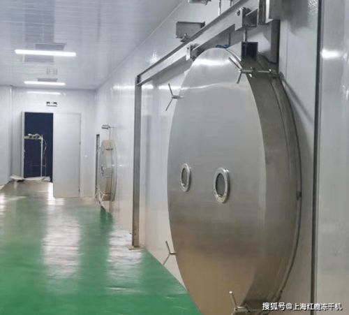 解鎖健康喂養(yǎng)新方式 深入了解寵物食品凍干機(jī)器
