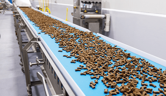 新型寵物食品與零食制造工廠的設計趨勢 設施創新引領品質未來